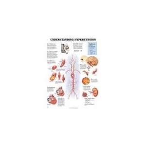  Anatomical Chart Company Understanding Hypertension Chart 
