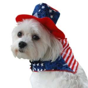  Anit Accessories Patriotic Bandana and Hat Dog Costume, 16 