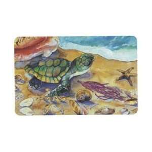   Card ($10.) Sea Turtle Cherie Flippen Painting USED 
