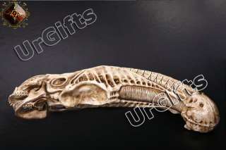 Replica Alien vs Predator Skull Fossil 11 Resin Model  