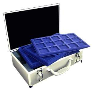 Large Aluminum Coin Case and 2 Trays For 2x2 Flips  
