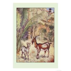   She Goat Giclee Poster Print by Milo Winter, 24x32