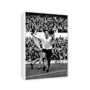  Osvaldo Ardiles   Canvas   Medium   30x45cm