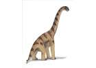 Brachiosaurus Dinosaur Animal Replica Figurine Toy  