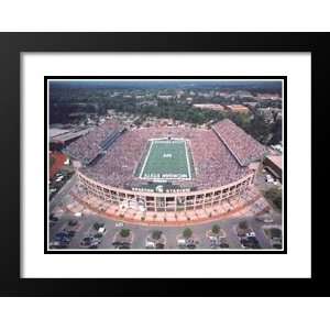   Matted Art 31x37 Spartan Stadium   East Lansing