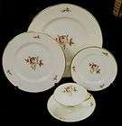 Ransgil China THE VELVET ROSE PATTERN 5 pc Place Setting items in 