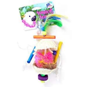  Prevue Hendryx Tropical Teasers Fireball Bird Toy, Small 