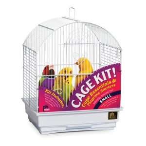  Round Top Parakeet Bird Cage Starter Kit