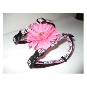  Xsmall Zebra Print Pink 4 Floral Dog Harness Neck 8 12 