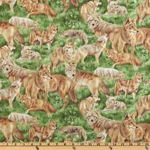  44 Wide Backyard Bandits II Coyote Green Fabric By The 