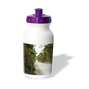   Landscape   Misty Country Road   Water Bottles