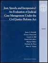 Just, Speedy, and Inexpensive? An Evaluation of Judicial Case 