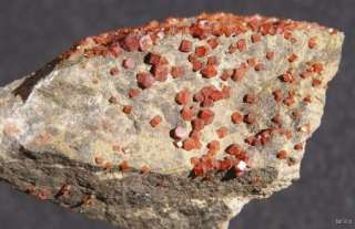 VANADINITE   APACHE MINE, ARIZONA 14352  