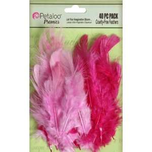   Collection   Feathers   Pink and Fuschia Arts, Crafts & Sewing