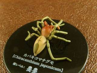 Follaje tóxico de Chiracanthium Japonicum de la araña de los 
