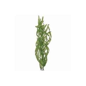  6 PACK CORKSCREW VAL AQUARIUM PLANT, Color GREEN; Size 