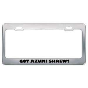 Got Azumi Shrew? Animals Pets Metal License Plate Frame Holder Border 