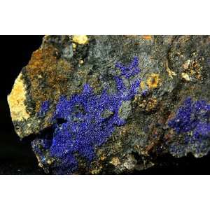   Blue Azurite Mineral Specimen w/ Cuprite From Morocco Crystal Healing