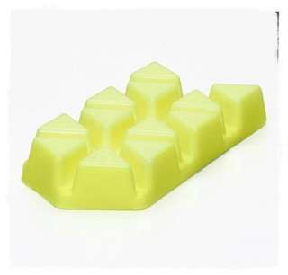 PartyLite SCENT PLUS 12 Pc Aroma Melts Brick Total 12 Scented Pieces 
