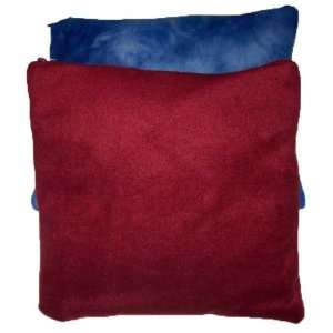  (2 Pack) Lumbar/back Support Pillow 100% Organic Buckwheat 