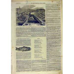    1857 Prince Covent Garden Theatre Trout Fish Print