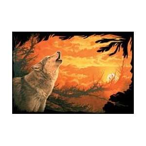  T shirts Animals Wildlife Wolf Evening Glow XXL 