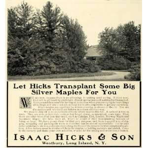  1909 Ad Tree Transplanting Isaac Hicks Westbury L. I 