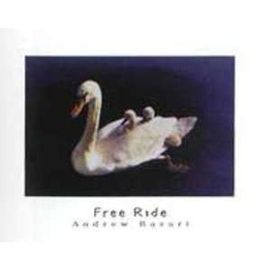  Andrew Basari   Free Ride Canvas