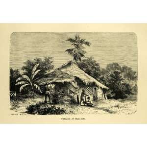   Indian Village Asia Botanical Hut   Original Wood Engraving Home