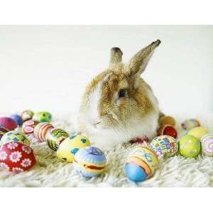  Bunny Rabbit Sitting among Easter Eggs   Peel and Stick 