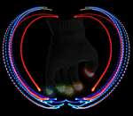 BLACK Flashing Rainbow 6 Mode LED Rave Raver LightUp Magic Mitt 