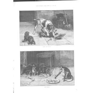  Robbery Withviolence, Petty Larceny, Dogs Fine Art1884 