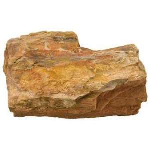  Top Quality Petrified Wood   Assorted Size   25lb Pet 