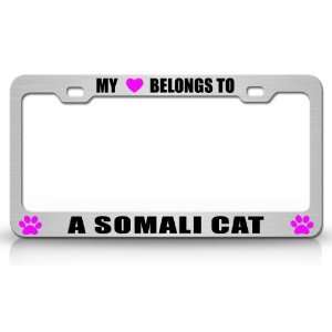  MY HEART BELONGS TO A SOMALI Cat Pet Auto License Plate 