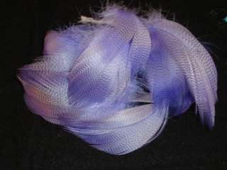 30 LAVENDER MALLARD DUCK PLUMAGE BARRED FEATHERS DYED  