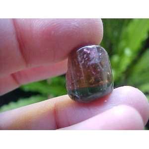  E1813 Gemqz Bicolor Tourmaline Loose Crystal 