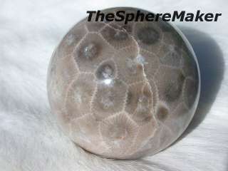 Siaz PETOSKEY STONE SPHERE FOSSIL CORAL BALL DECORATIVE GR8 GIFT 1.6 