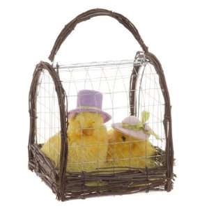  RAZ Imports 6 Chicks in a Cage