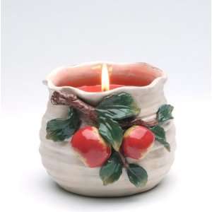  Spring   Terra Cotta Pottery Apple   Wax Filled Apple pot 