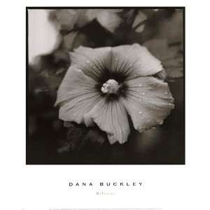    Hibiscus Finest LAMINATED Print Dana Buckley 13x16