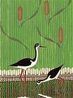 Black Necked Stilts by Shearwater​s Mac Anderson