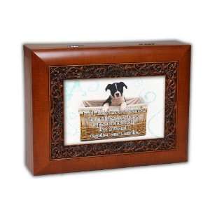  Cottage Garden Music Box For Pet Dog Owners Plays Wind 