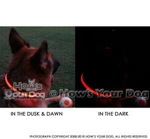 MODE LIGHTED ILLUMINATED SAFETY DOG COLLAR + BLINKER  