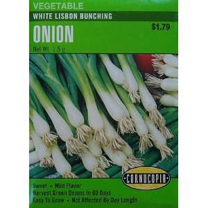  Onion White Lisbon Bunching Seeds 200 Seeds Patio, Lawn 