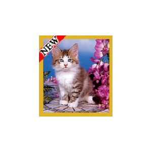  New Magnetic Bookmark Flower Garden Kitten High Quality 