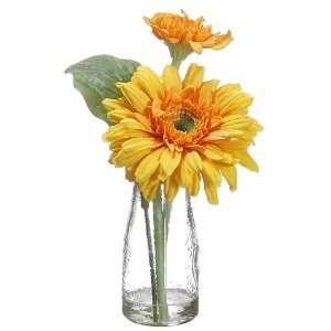  8.5 Gerbera Daisy in Glass Vase Yellow (Pack of 12)