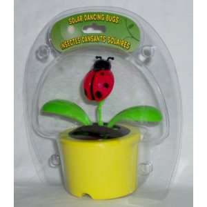  Solar Powered Dancing LADYBUG   Yellow Pot (Bubble Package 
