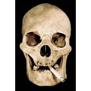  Smoking Skull   Peel and Stick Wall Decal by Wallmonkeys 