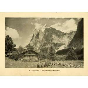   Swiss Chalet Mountain Alps   Original Halftone Print