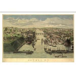 Historic Oswego, New York, c. 1855 (M) Panoramic Map Poster Print 